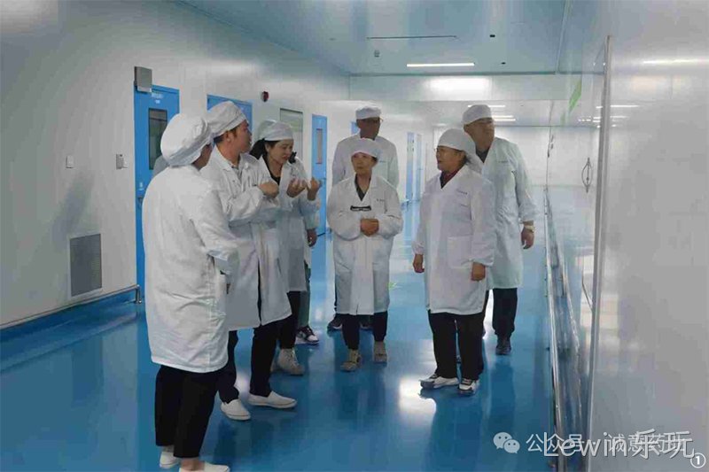 Lewin乐玩 (1)
